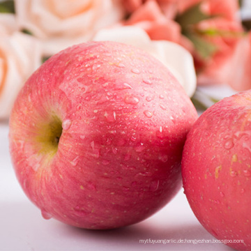 Der erstklassige frische Apfel für Red Fuji Apple